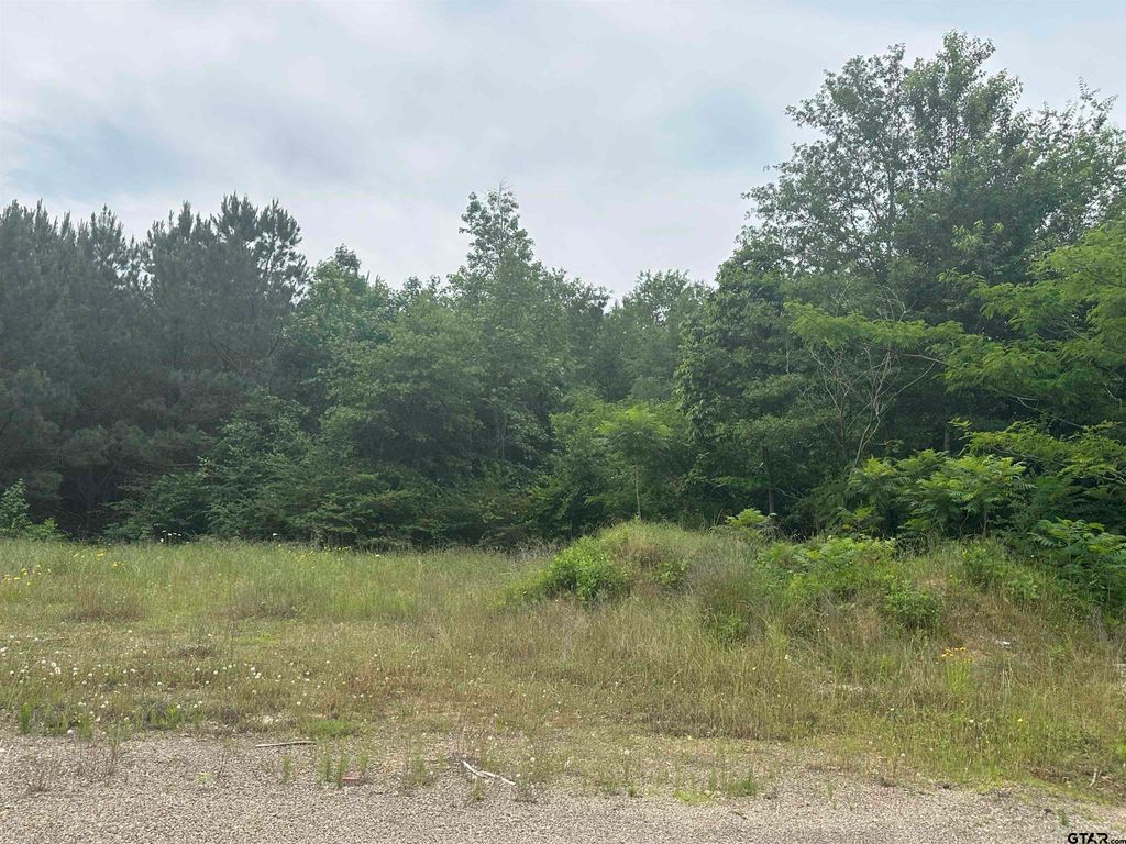 TBA E Hwy 31, Tyler, TX 75705