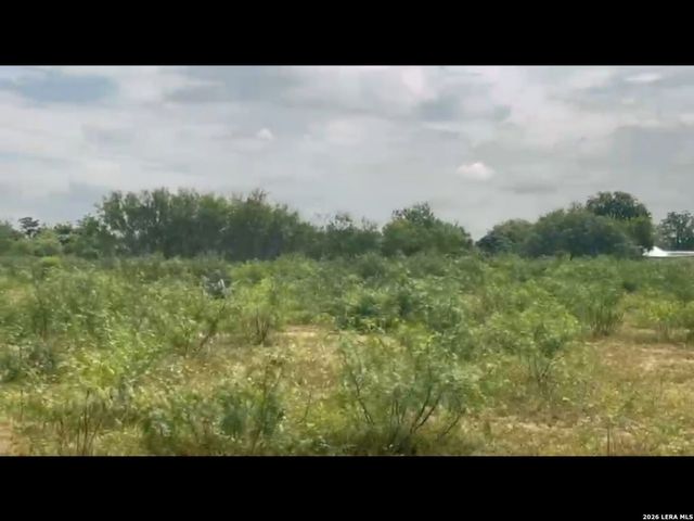 13808 Greenwood Rd, Atascosa, TX 78002