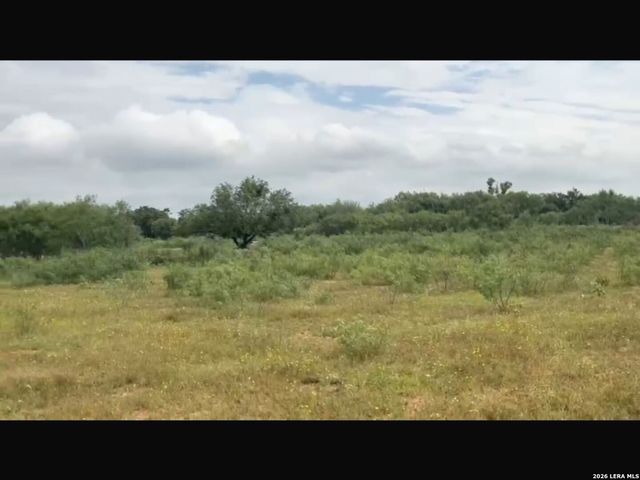 13808 Greenwood Rd, Atascosa, TX 78002