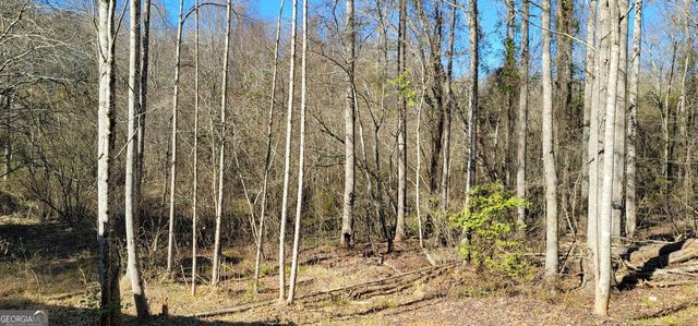 2220 O W Adams, Dewy Rose, GA 30634