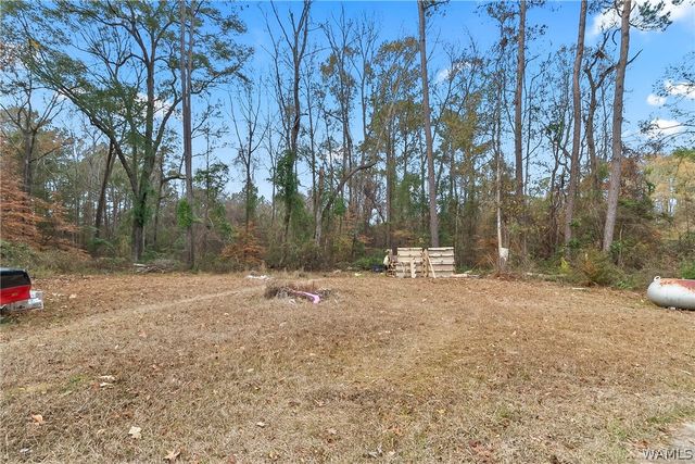 14143 Delta, Tuscaloosa, AL 35405