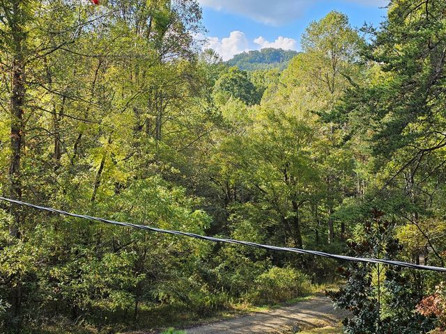 179 Tulip Lane, Murphy, NC 28906