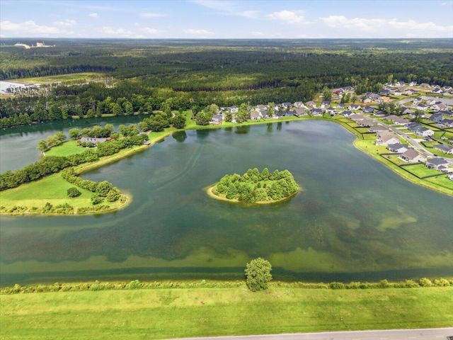 154 Darby Meadow Lane, Ridgeville, SC 29472