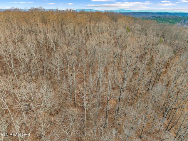 365 County Road 38, Riceville, TN 37370