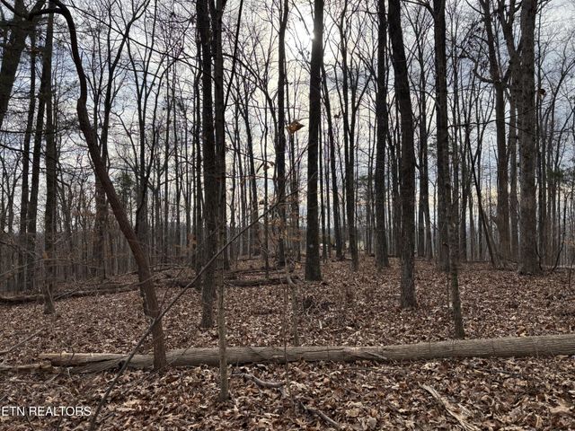365 County Road 38, Riceville, TN 37370