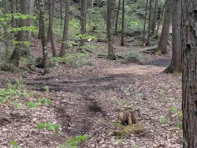 152 States Landing Road, Moultonborough, NH 03254