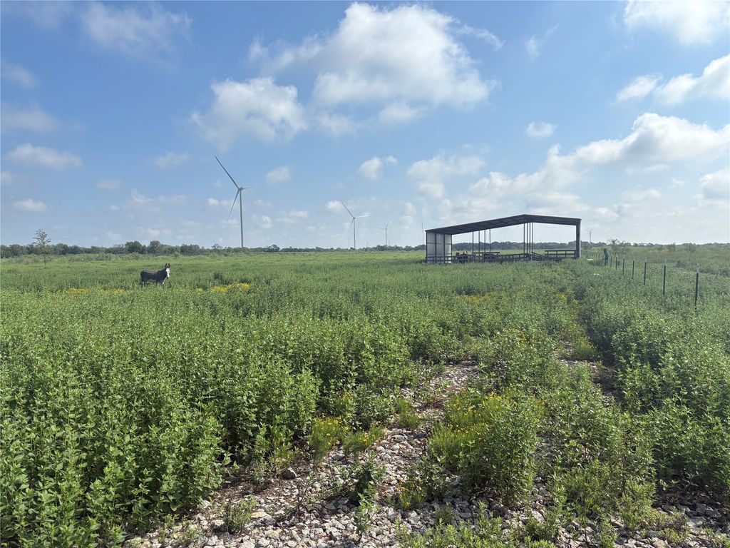 TBD 000 FM 1838, Dawson, TX 76639