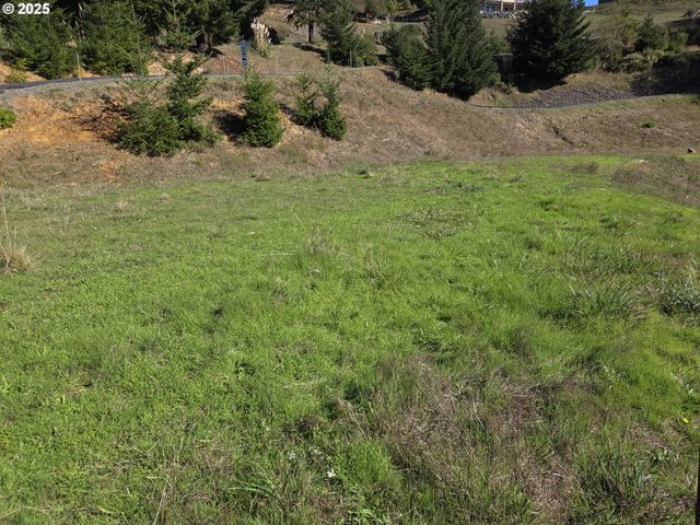 7771 ZOE Dr, Brookings, OR 97415