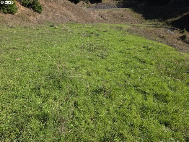 7771 ZOE Dr, Brookings, OR 97415