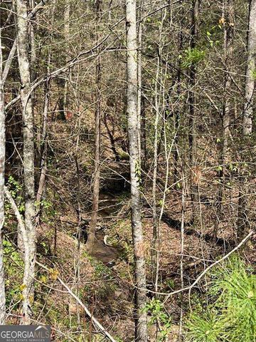 0 Trout Line Court, Talking Rock, GA 30175