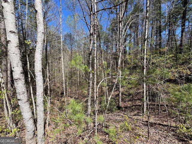 0 Trout Line Court, Talking Rock, GA 30175