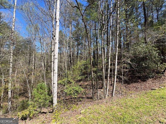 0 Trout Line Court, Talking Rock, GA 30175
