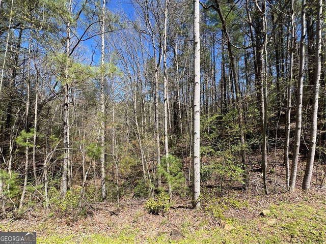0 Trout Line Court, Talking Rock, GA 30175