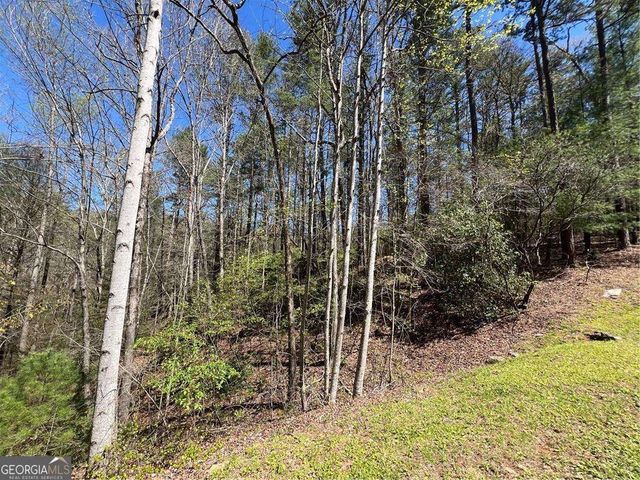 0 Trout Line Court, Talking Rock, GA 30175