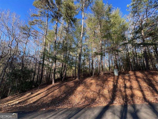 0 Trout Line Court, Talking Rock, GA 30175