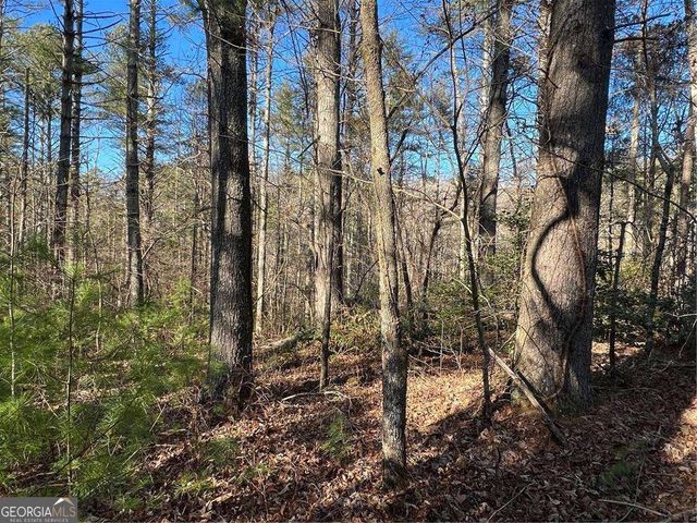 0 Trout Line Court, Talking Rock, GA 30175