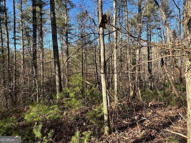 0 Trout Line Court, Talking Rock, GA 30175