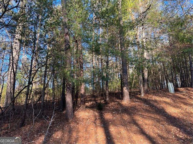 0 Trout Line Court, Talking Rock, GA 30175