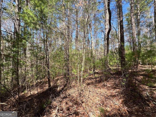 0 Trout Line Court, Talking Rock, GA 30175