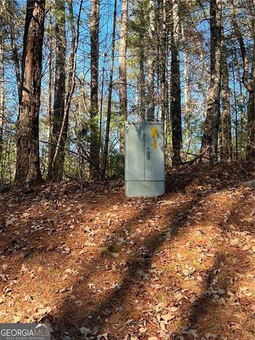 0 Trout Line Court, Talking Rock, GA 30175