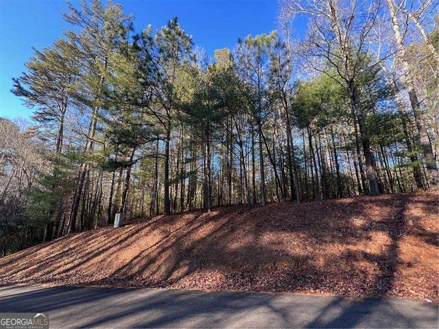 0 Trout Line Court, Talking Rock, GA 30175