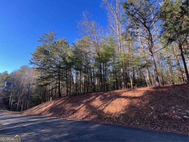 0 Trout Line Court, Talking Rock, GA 30175
