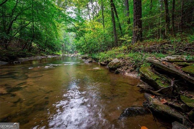 0 Trout Line Court, Talking Rock, GA 30175