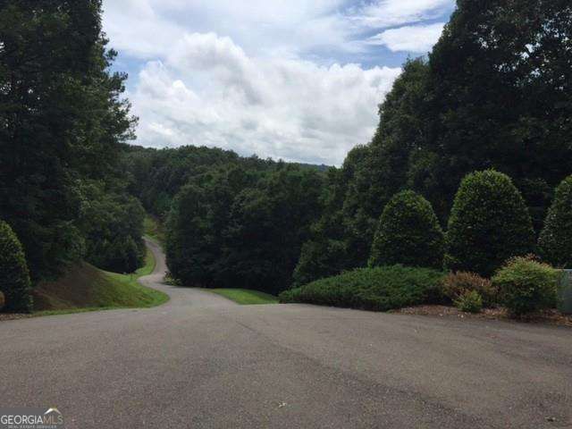 0 Trout Line Court, Talking Rock, GA 30175