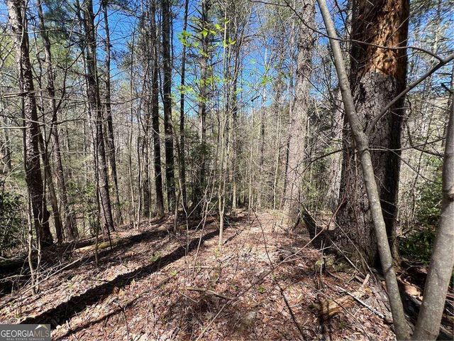 0 Trout Line Court, Talking Rock, GA 30175
