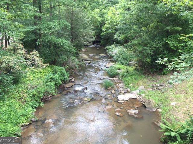 0 Trout Line Court, Talking Rock, GA 30175