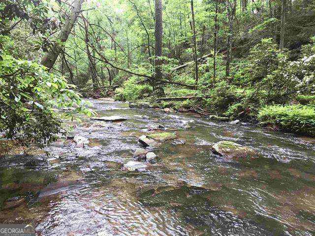 0 Trout Line Court, Talking Rock, GA 30175