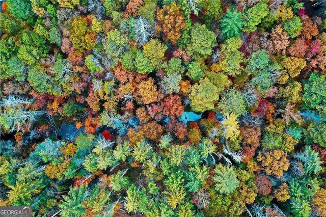 0 Trout Line Court, Talking Rock, GA 30175