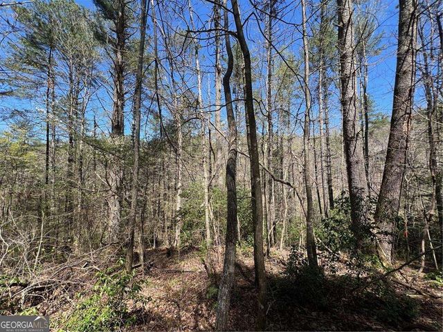 0 Trout Line Court, Talking Rock, GA 30175