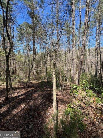 0 Trout Line Court, Talking Rock, GA 30175