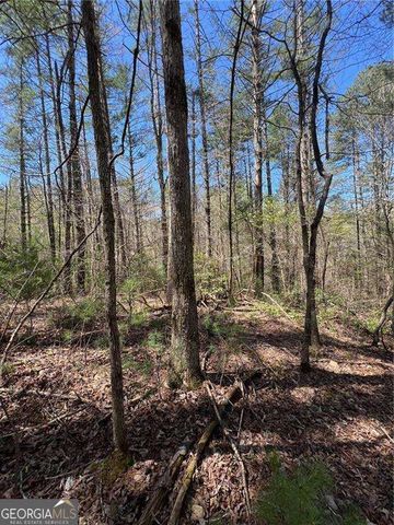 0 Trout Line Court, Talking Rock, GA 30175