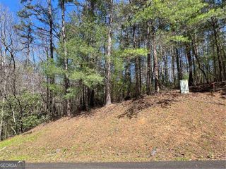 0 Trout Line Court, Talking Rock, GA 30175