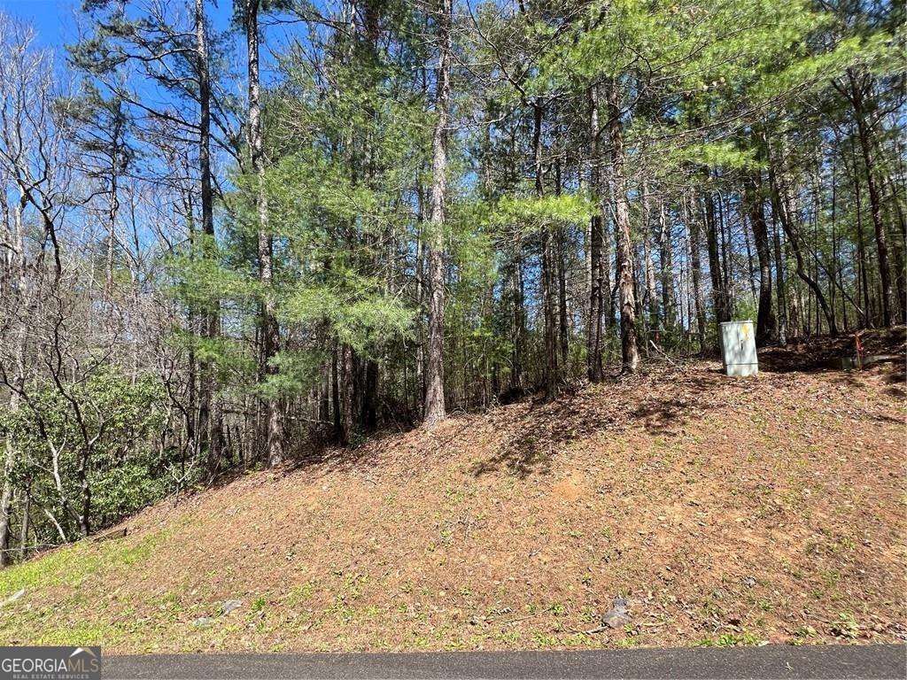 0 Trout Line Court, Talking Rock, GA 30175