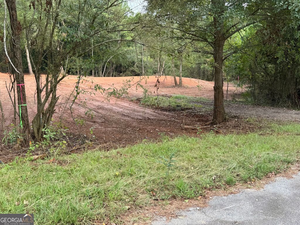 100 Winding Lane, Locust Grove, GA 30248 — exterior