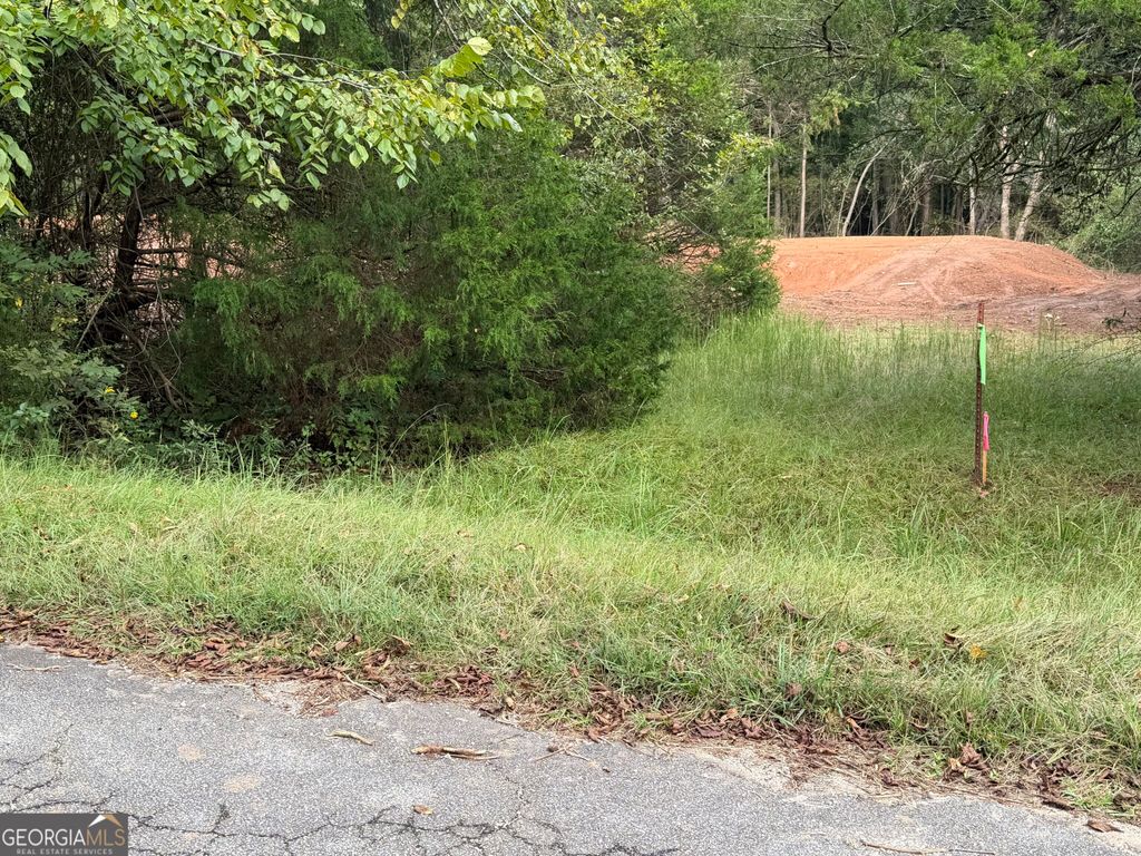 100 Winding Lane, Locust Grove, GA 30248 — photo 2