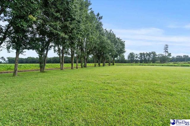 148 High Hill RD, Lake View, SC 29563