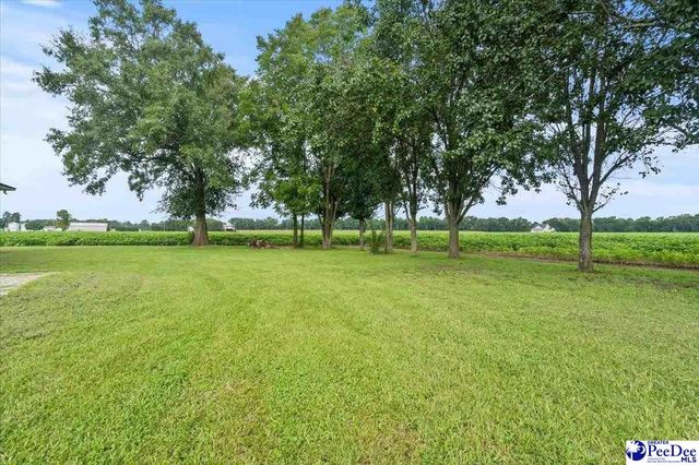 148 High Hill RD, Lake View, SC 29563