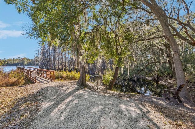 14217 PONDHAWK LANE, Tampa, FL 33625