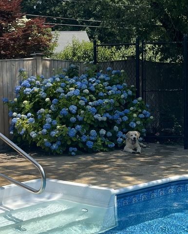 854 Brockton Ave, Abington, MA 02351