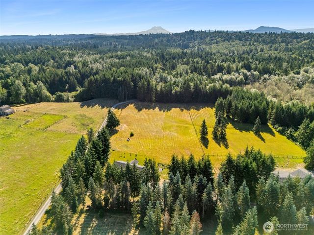 230 156th Lane SE, Tenino, WA 98589