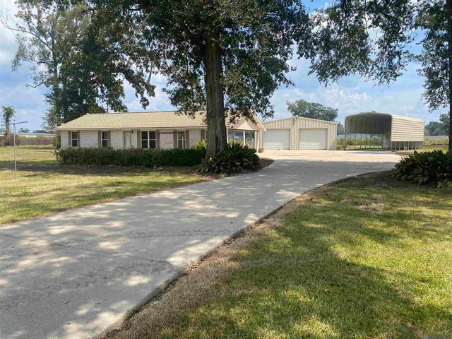 13428 Hilbert Young Rd, Gonzales, LA 70737
