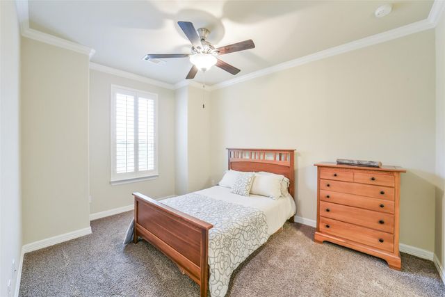 13205 Green Hills Drive, Houston, TX 77077