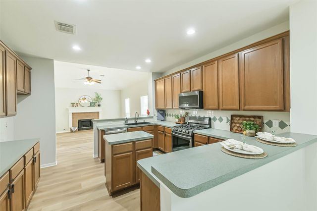 9906 Palisade Lakes Drive, Houston, TX 77095