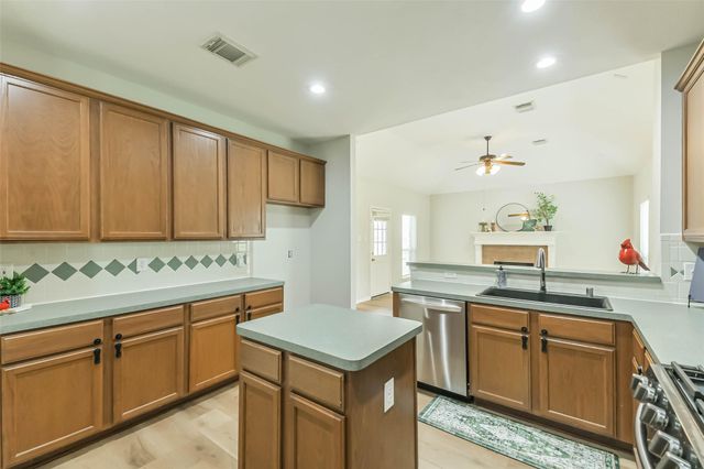 9906 Palisade Lakes Drive, Houston, TX 77095