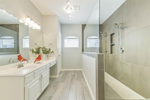 9906 Palisade Lakes Drive, Houston, TX 77095