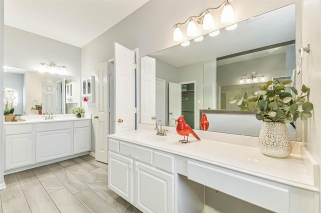 9906 Palisade Lakes Drive, Houston, TX 77095